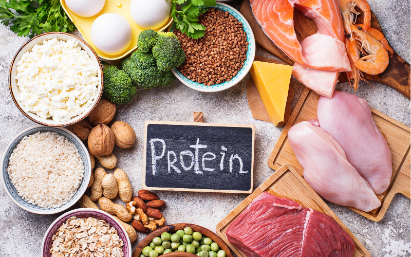 Protein 101: Everything you need to know about high protein foods