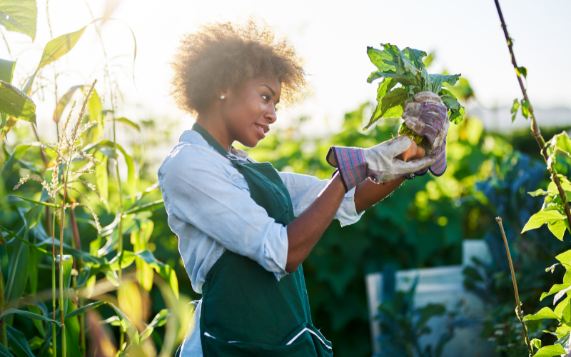 Zoe Bingley-Pullin: Sustainable eating - top tips to choosing sustainable food