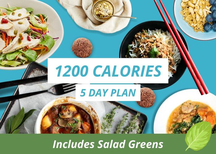 1200 Calorie - 5 Day - Plan 1 - with Salad Greens