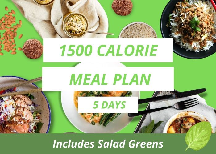 1500 Calorie - 5 Day - Plan 1 - with Salad Greens
