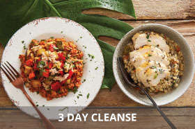 3 DAY CLEANSE